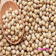 Soya beans (whole) சோயா பீன்ஸ்