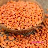 Red lentils masoor dal (split) மசூர் பருப்பு