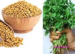 Fenugreek வெந்தயம் (Vendhayam) 100 g