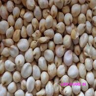 Sorghum millet (whole) சோளம்