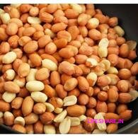 Roasted peanuts வறுத்த நிலக்கடலை