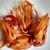 Mace spices premium quality