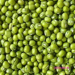 Whole Green Gram பச்சை பயறு (Pachai Payaru) 500 gram