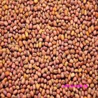 Red karamani காராமணி Red cowpeas